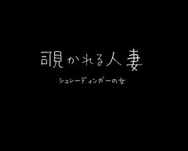 窥情公寓