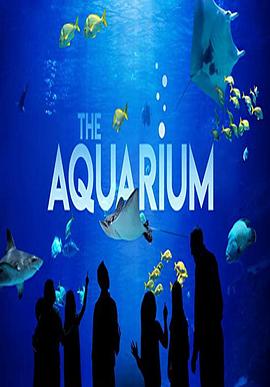 水族馆 第一季
