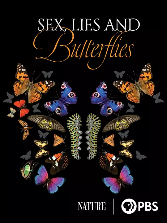 Sex, Lies and Butterflies