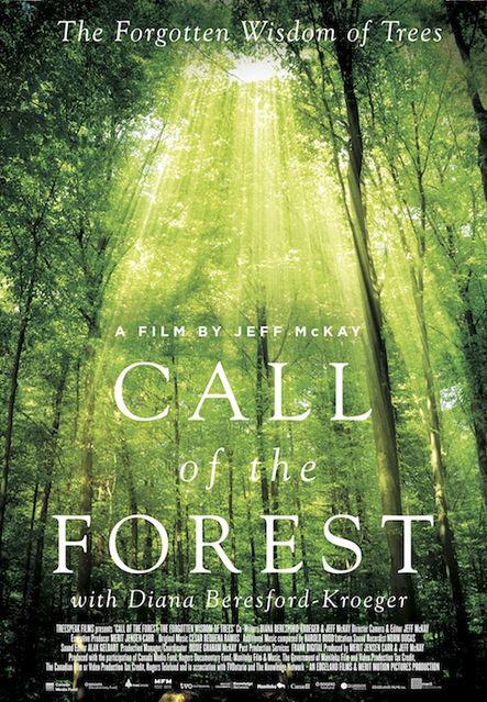 Call of the Forest: The Forgotten Wisdom of Trees