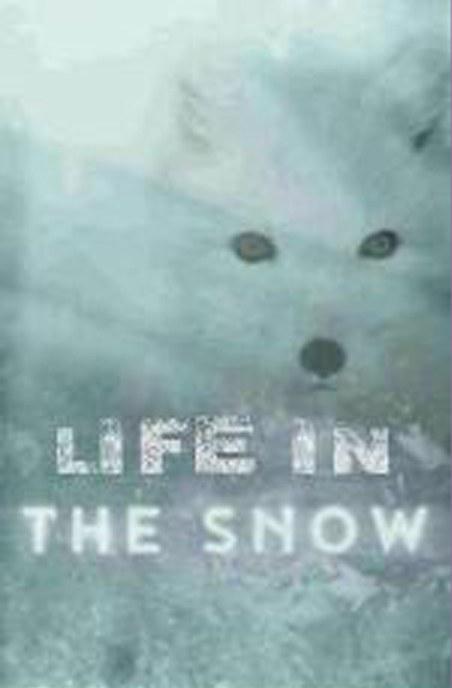 雪域中的生命