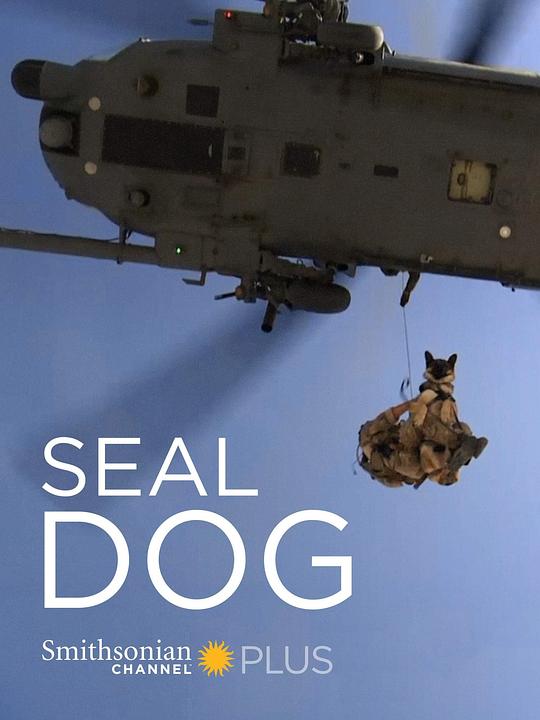 海豹突击犬