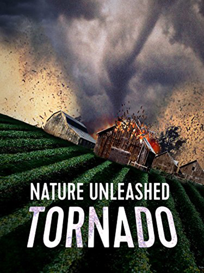 Nature Unleashed: Tornado